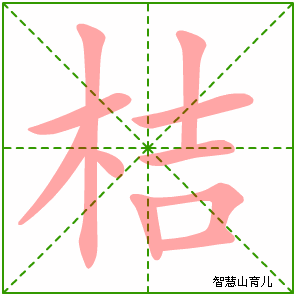 桔字写法 桔的笔顺