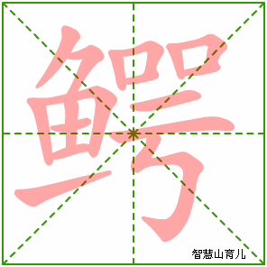 鳄字写法 鳄的笔顺