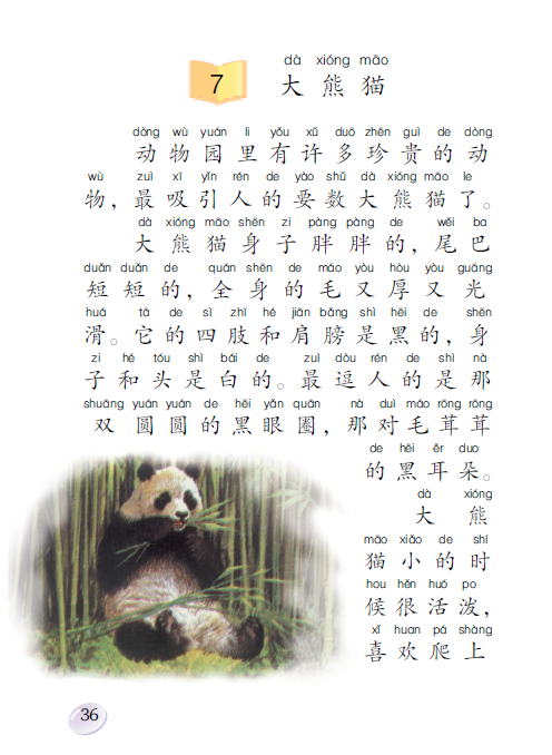 第七课 大熊猫 - 一年级下册 - 智慧山