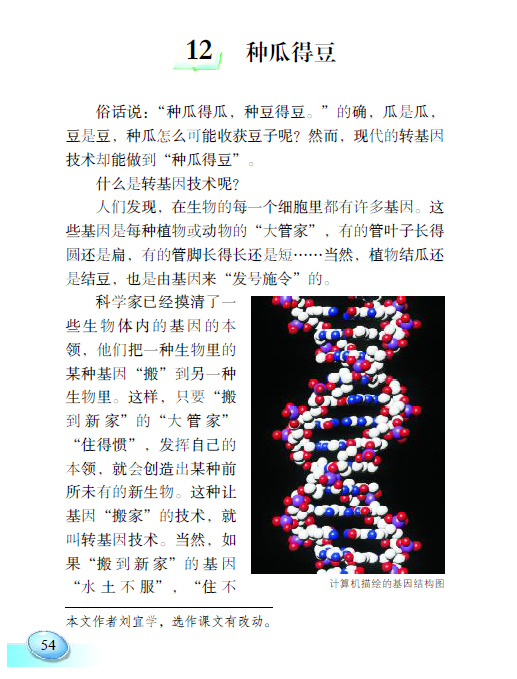 种瓜得豆