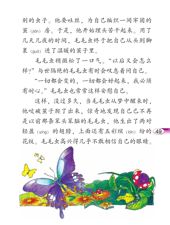 毛毛虫的故事