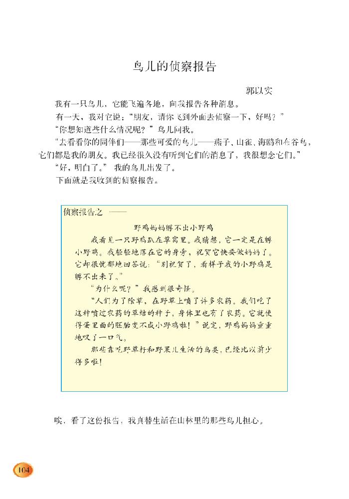 鸟儿侦察报告