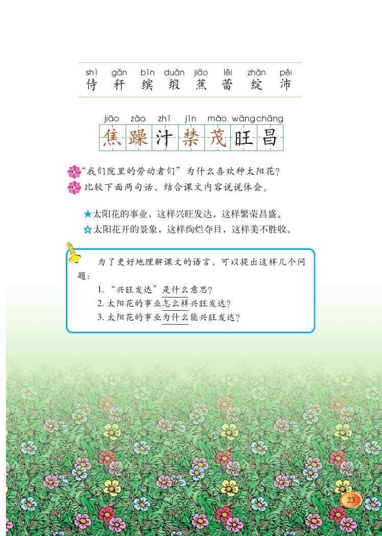 种一片太阳花