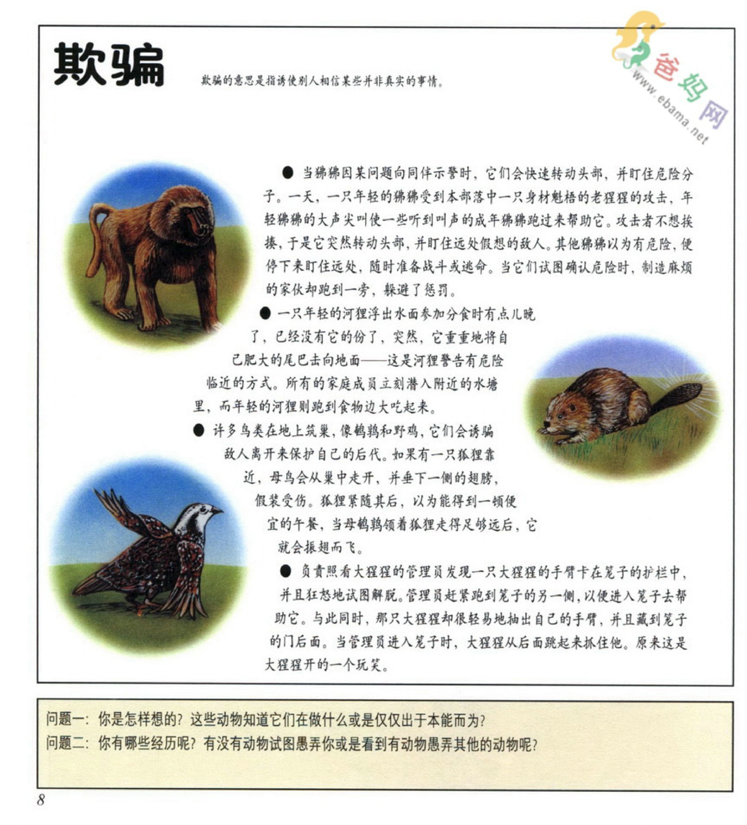 问答类网站源码