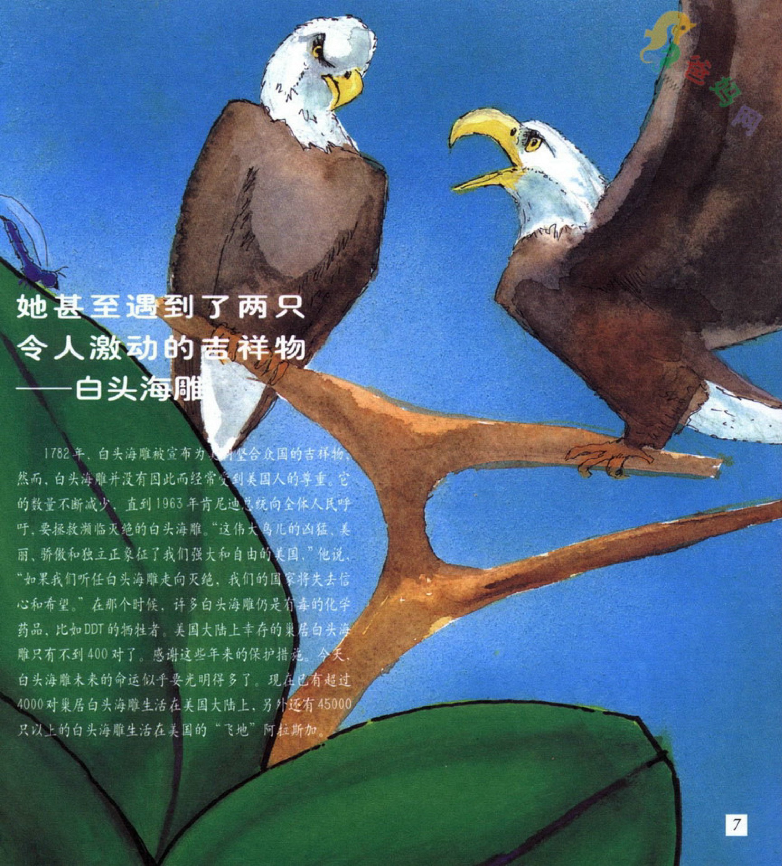 百科类生命真奇妙寻找会飞的朋友