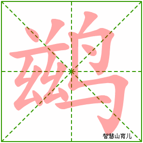 鹚的笔顺拼音及解释