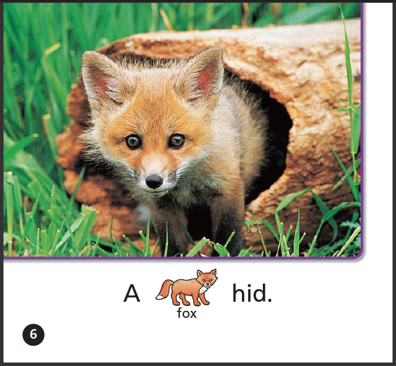 gk智慧山阅读录课群 - 绘本阅读gk: it hid( int