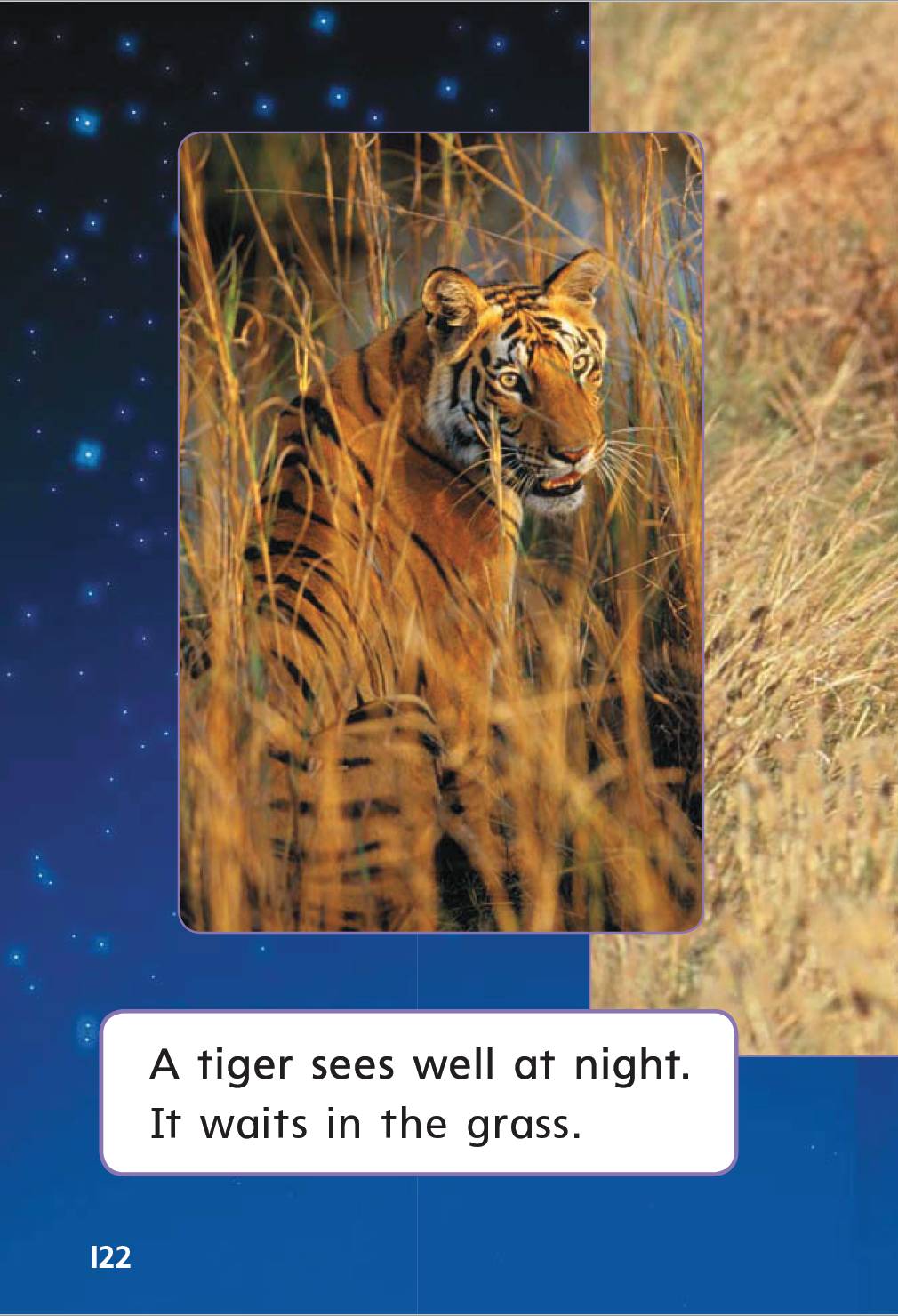 绘本阅读g2:night animals(p114-125) - 智慧山